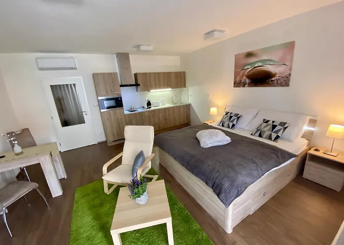 Duo Apartment Trebon